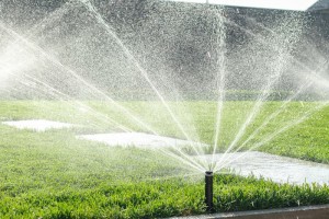 How to Find Irrigation Leaks